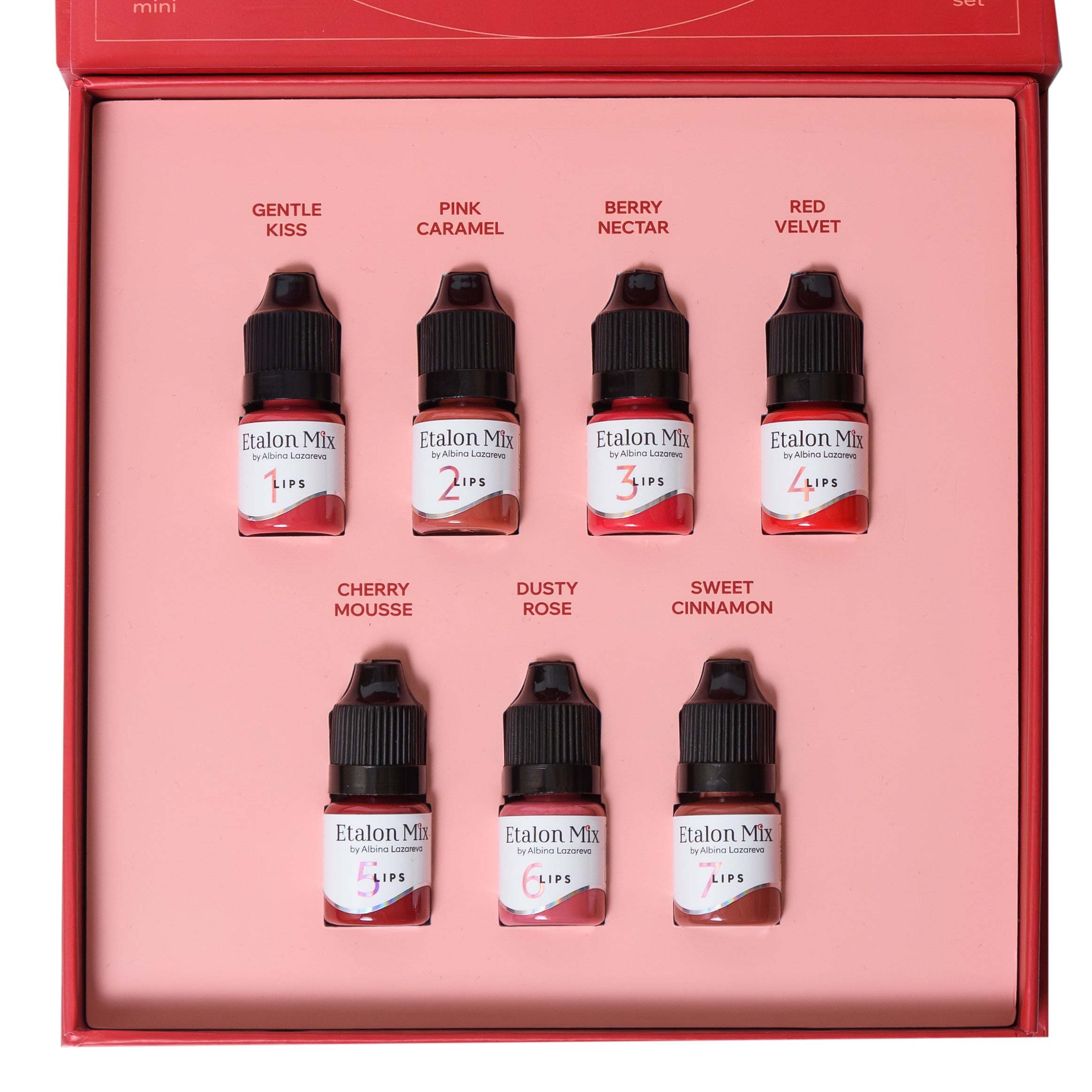 Juego de labios híbrido completo